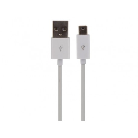 Cordon Usb A mâle vers Mini Usb mâle 1m