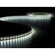 Ruban flexible blanc froid 600 leds 12v 5m