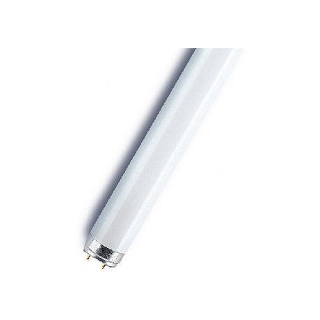 Tube led 1200lm 90cm 14W T8/G13 blanc froid