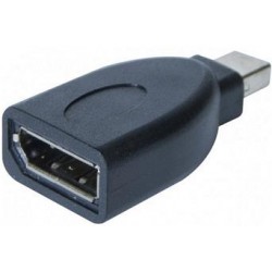 Adaptateur DisplayPort F, Mini DisplayPort M