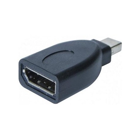 Adaptateur DisplayPort F, Mini DisplayPort M