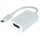 Adaptateur USB 3.1 type-C vers DisplayPort 1.2