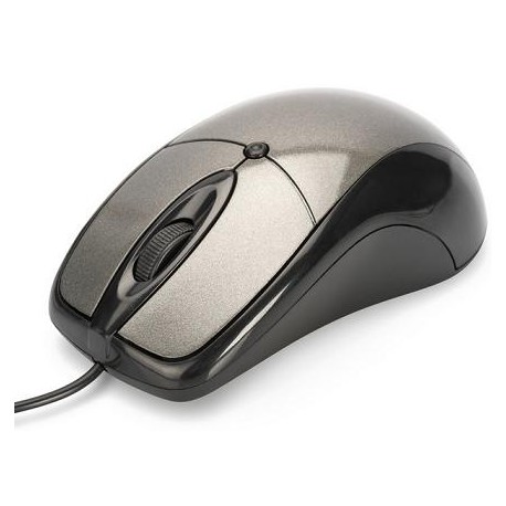 Souris optique Usb filaire 800 dpi