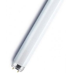 Tube néon 18W T8/G13